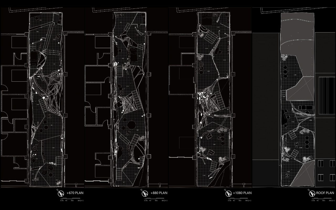 編織森林_線系統的生長與構成