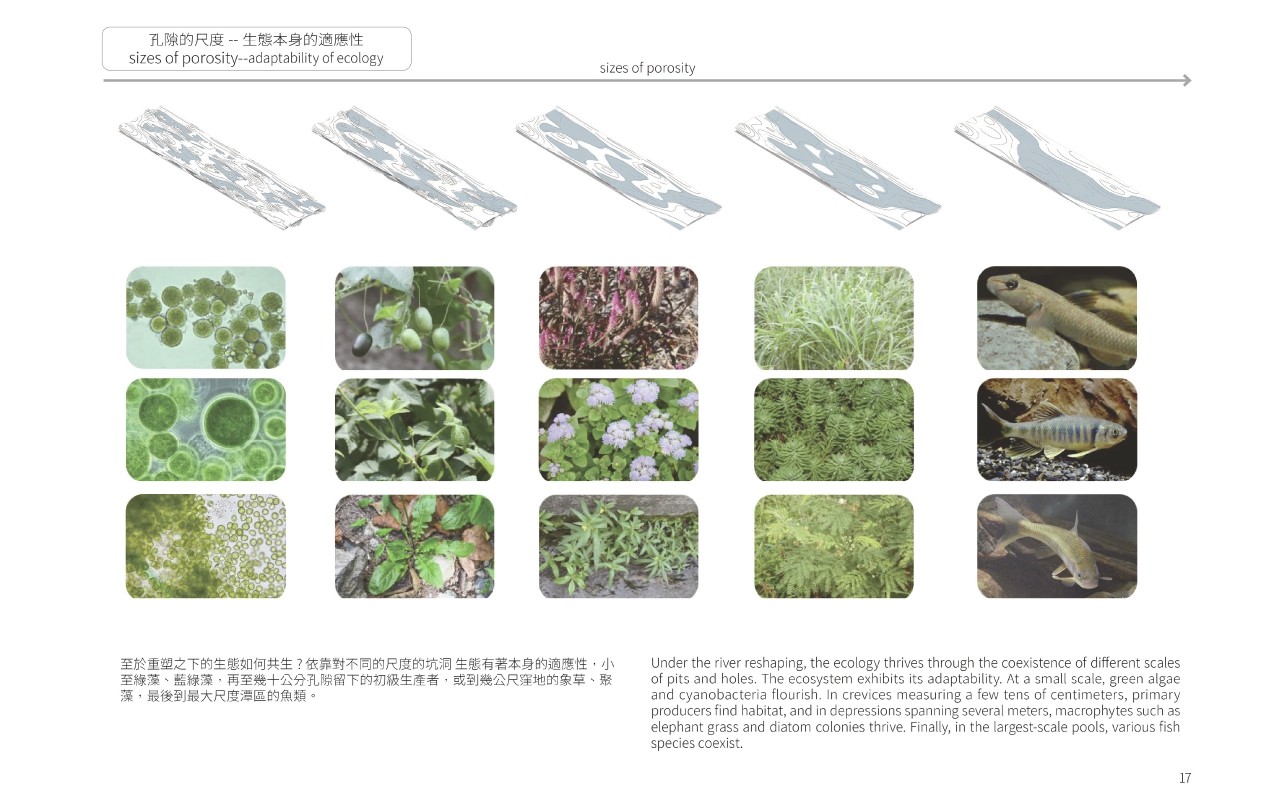 溯源 水道  自然與人為的共構