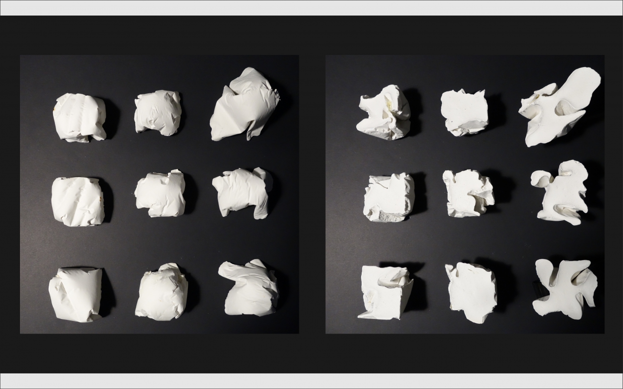 物生景成 Growing from Landscape