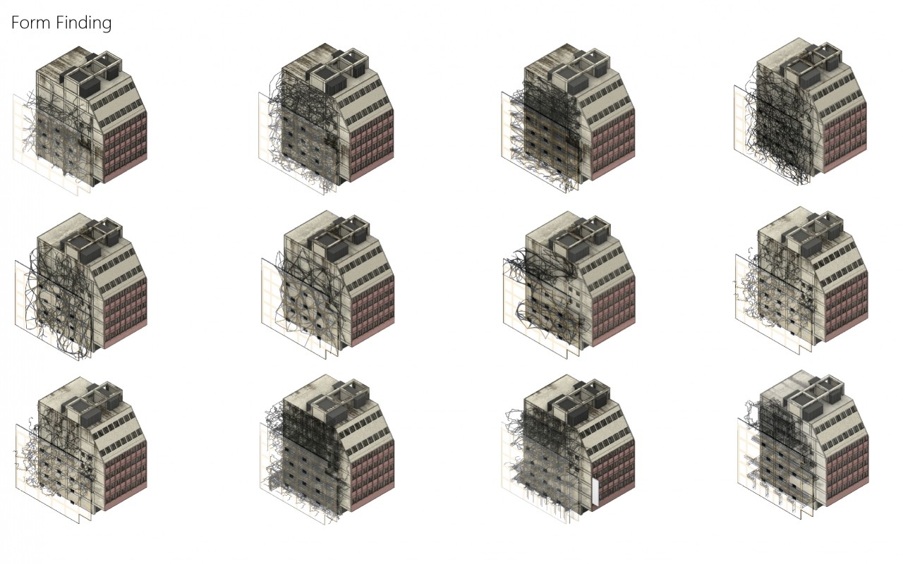 編織森林_線系統的生長與構成