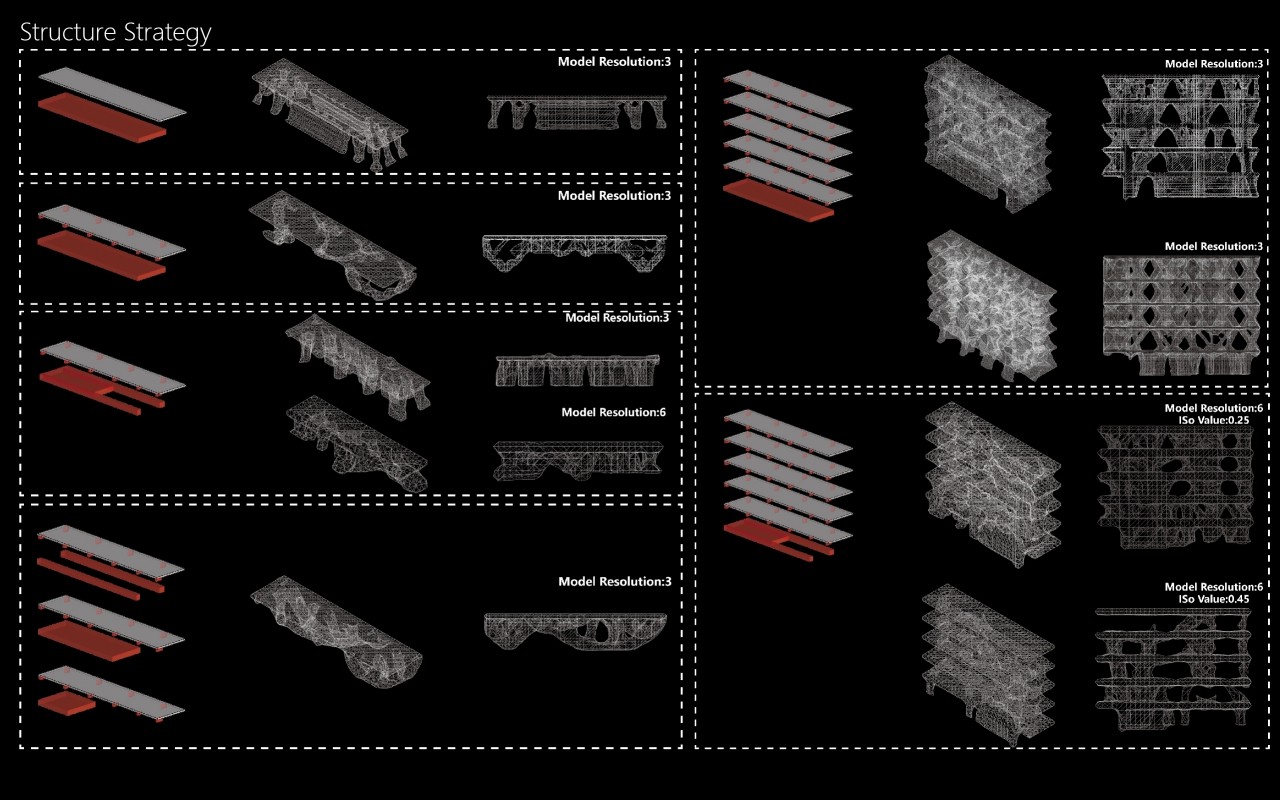 編織森林_線系統的生長與構成