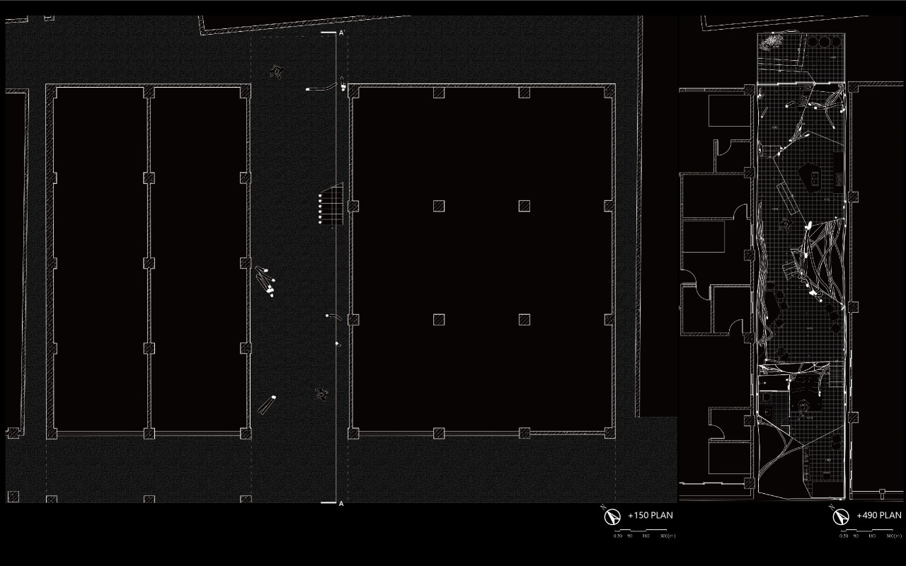 編織森林_線系統的生長與構成