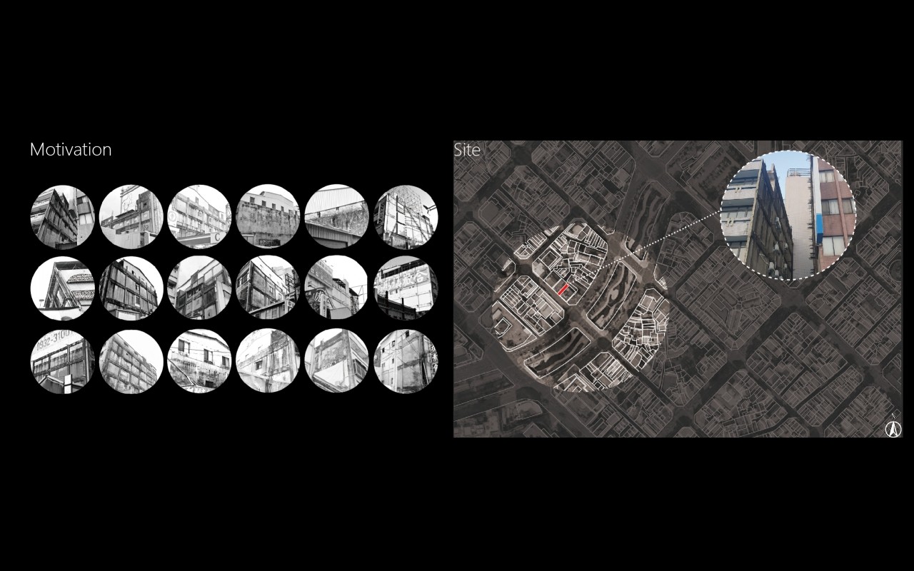 編織森林_線系統的生長與構成