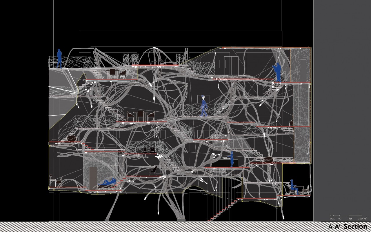 編織森林_線系統的生長與構成