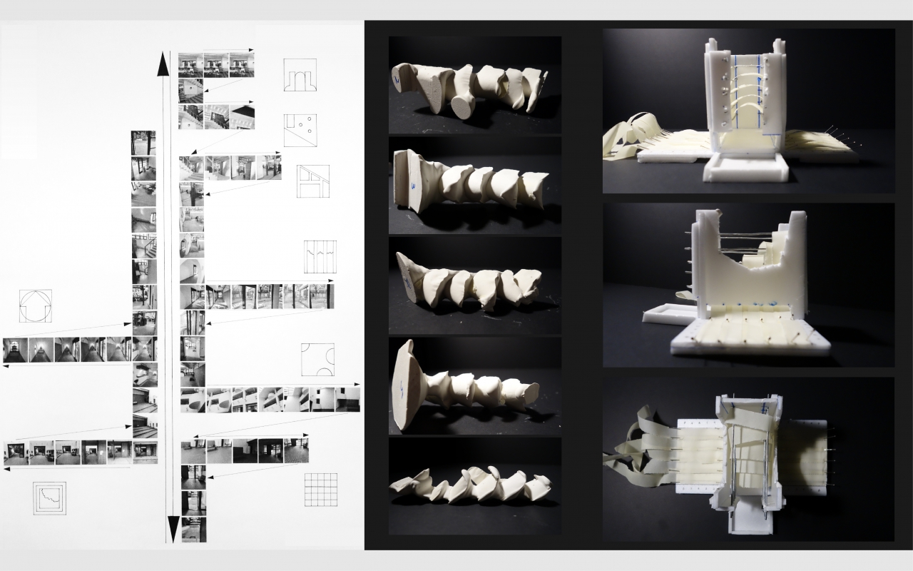 物生景成 Growing from Landscape