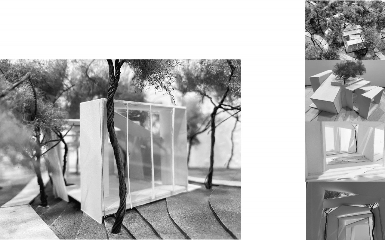 嵌入，挤出  楼梯艺廊与地景的共构