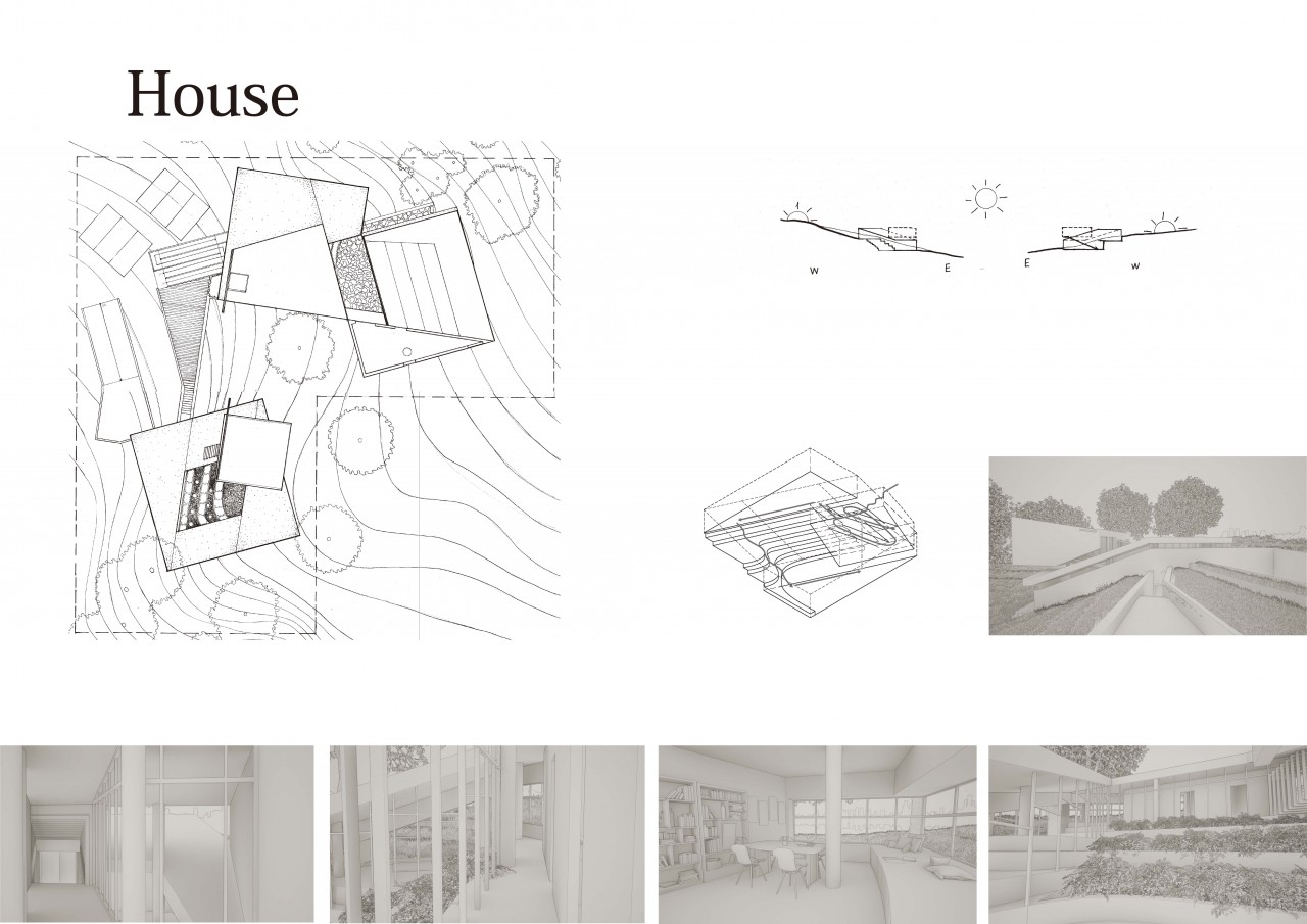 Moving, Show and Hide