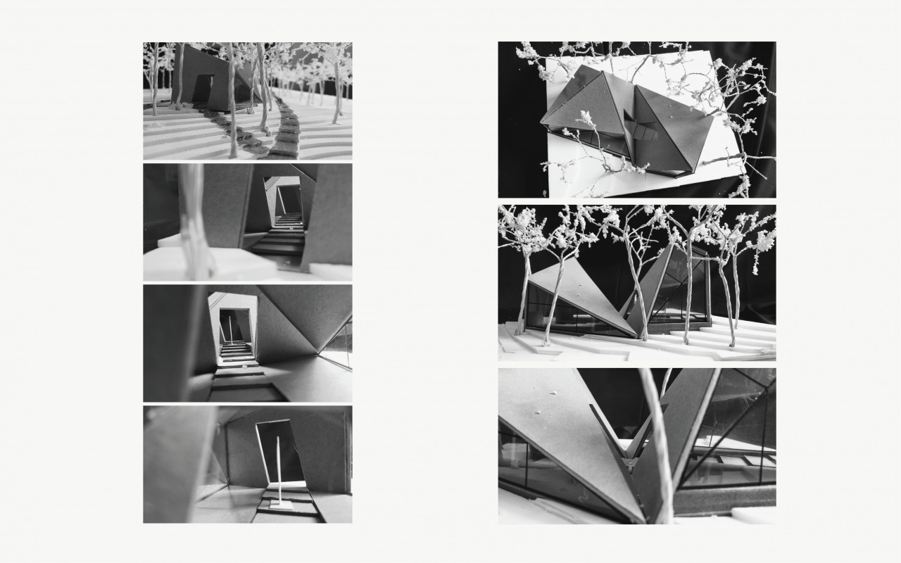 變形—行走與視線的速度差