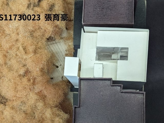 都市與自然的交織