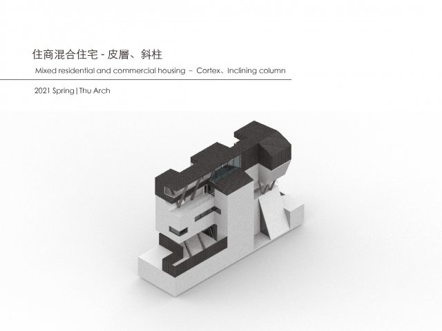 Mixed residential and commercial housing – Cortex、Inclining column